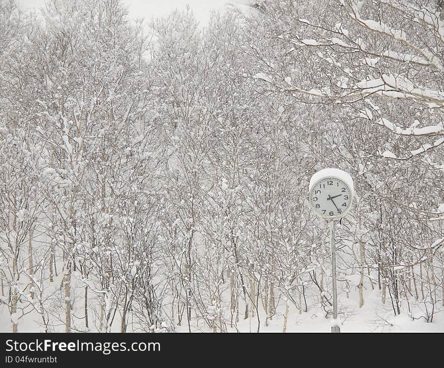 Clock In The Park In Winter