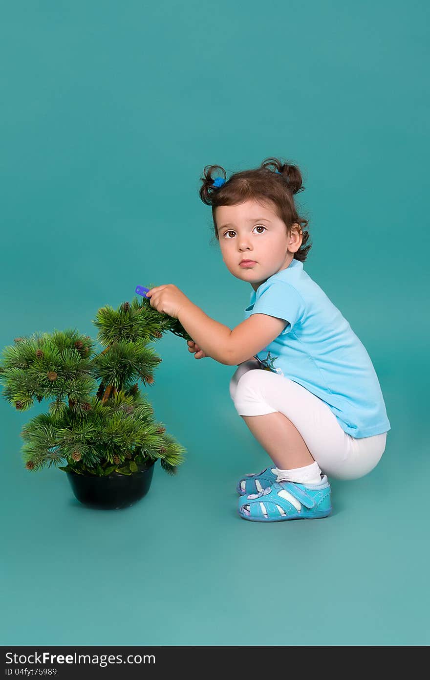 The girl sitting next to a decorative pine turquoise background in studio