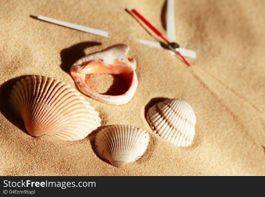 Time concept. Few seashells near clock hands on sand surface. Time concept. Few seashells near clock hands on sand surface