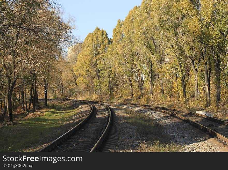 The railroad turns to the left among the trees