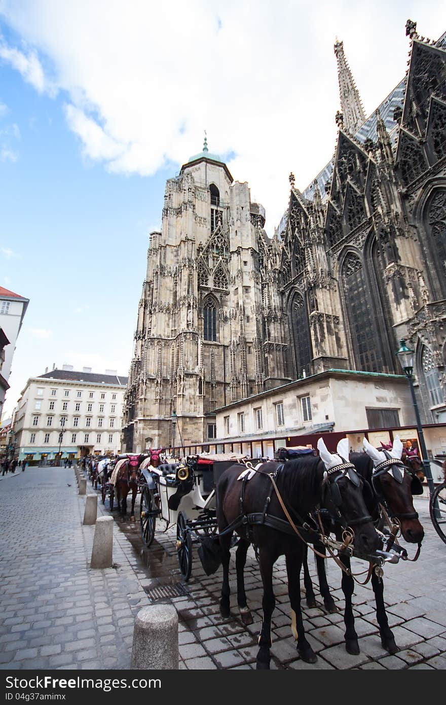 Horse carriage near St. Stephan Cathedral, Vienna, Austria