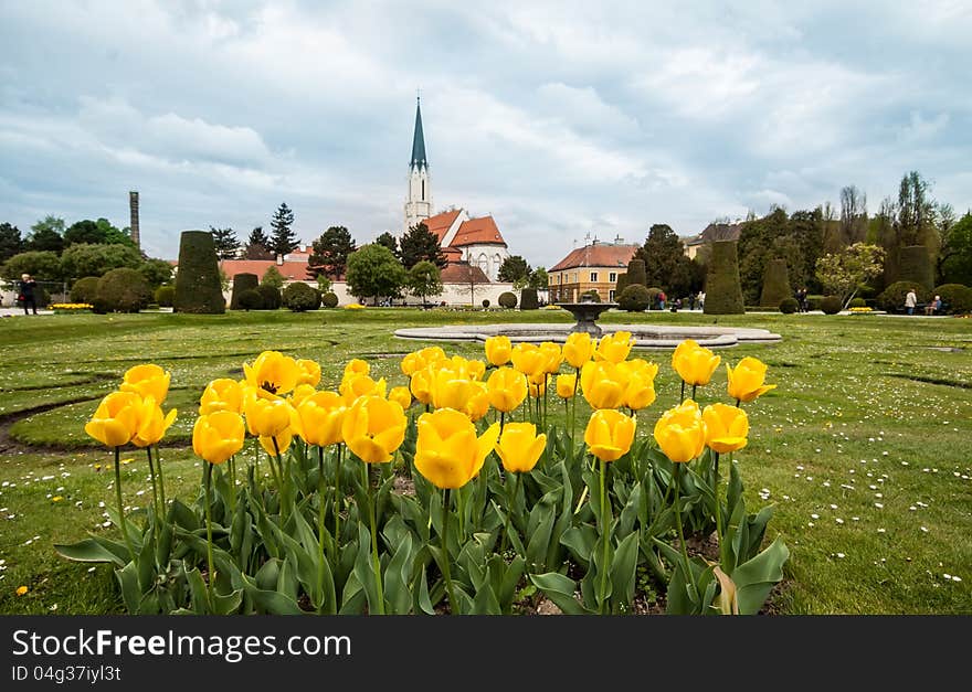 Park Near  Schoenbrunn Palace