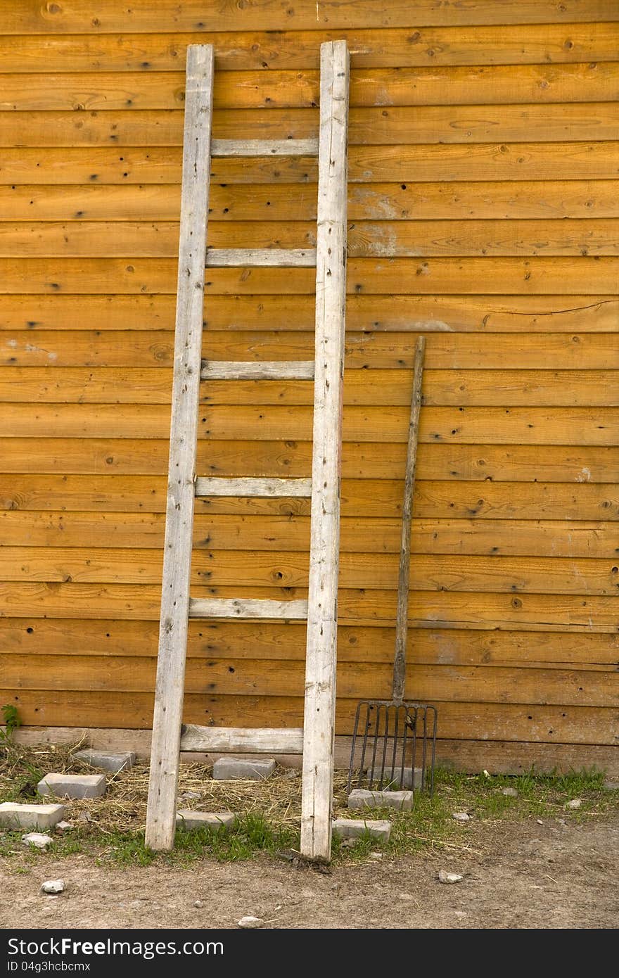 Leaning against a wooden ladder, ladder and forks perpendicular, working tools for farmers, ladder with six, two job aids at the stables with horses