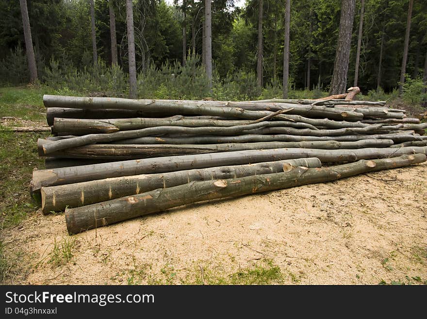 Pile of logs