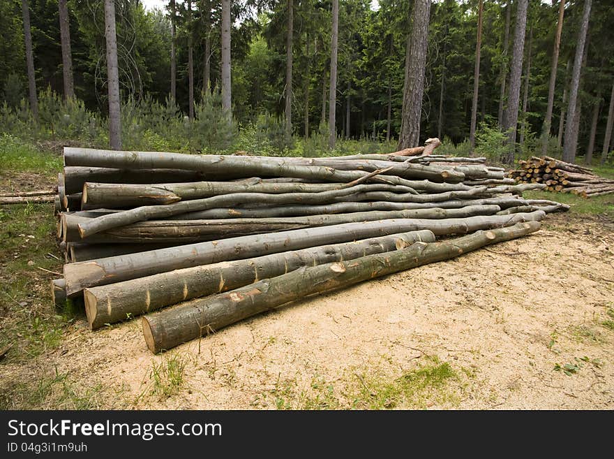 Pile of logs