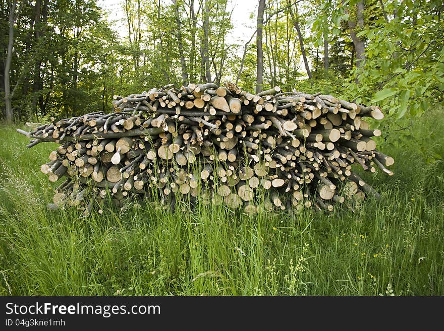 Pile of cut wood in green grass. Pile of cut wood in green grass