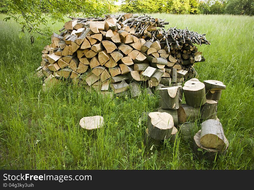 Firewood