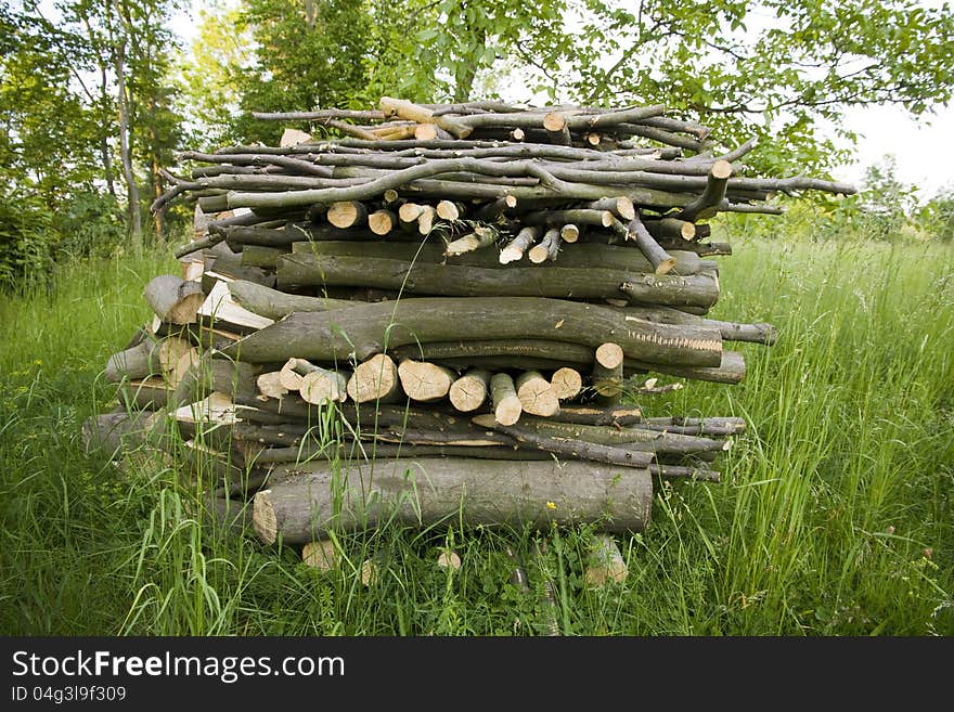 Firewood