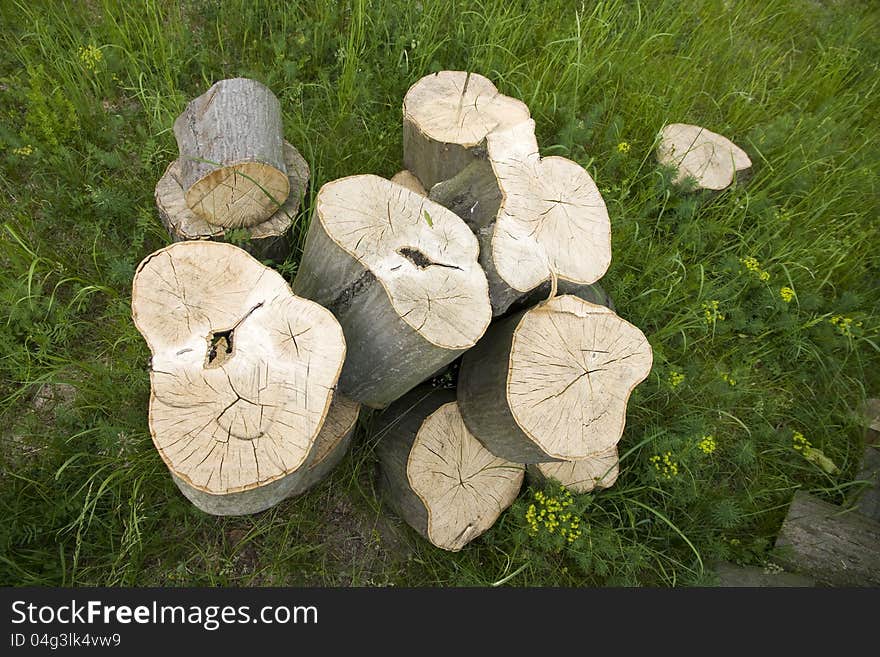 Wooden blocks