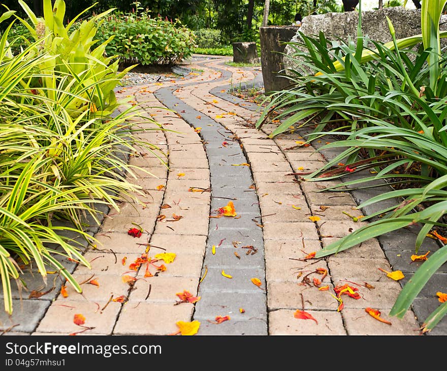 Pathway in park