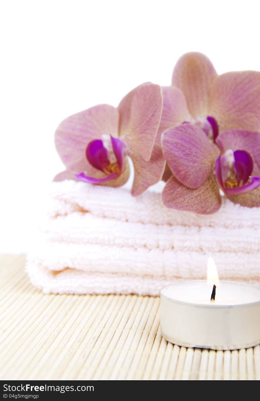 Orchid On Towel