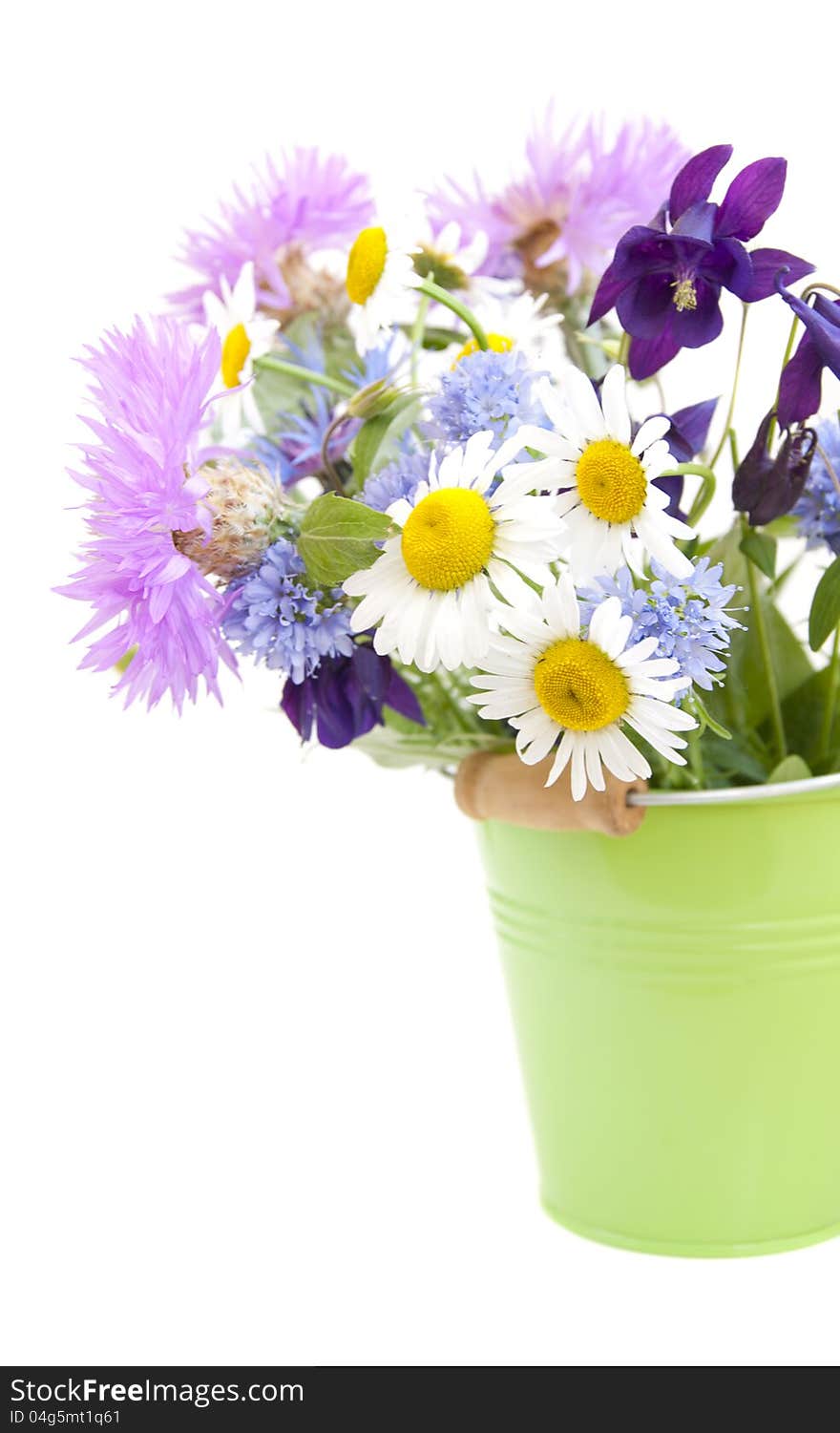 Bucket with wild flowers on a white background