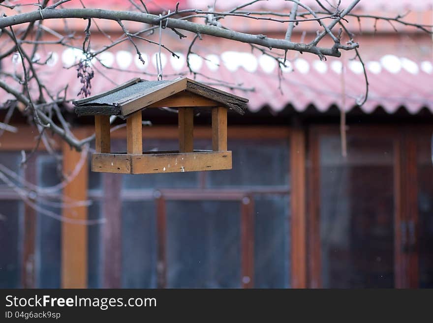 Feeder on a tree branch. Feeder on a tree branch