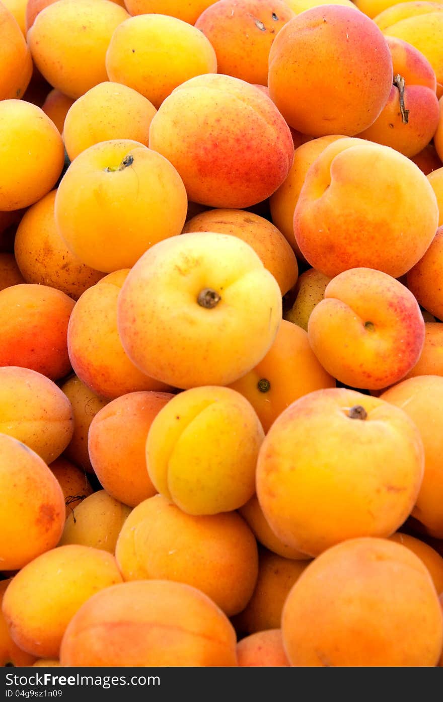 Apricots