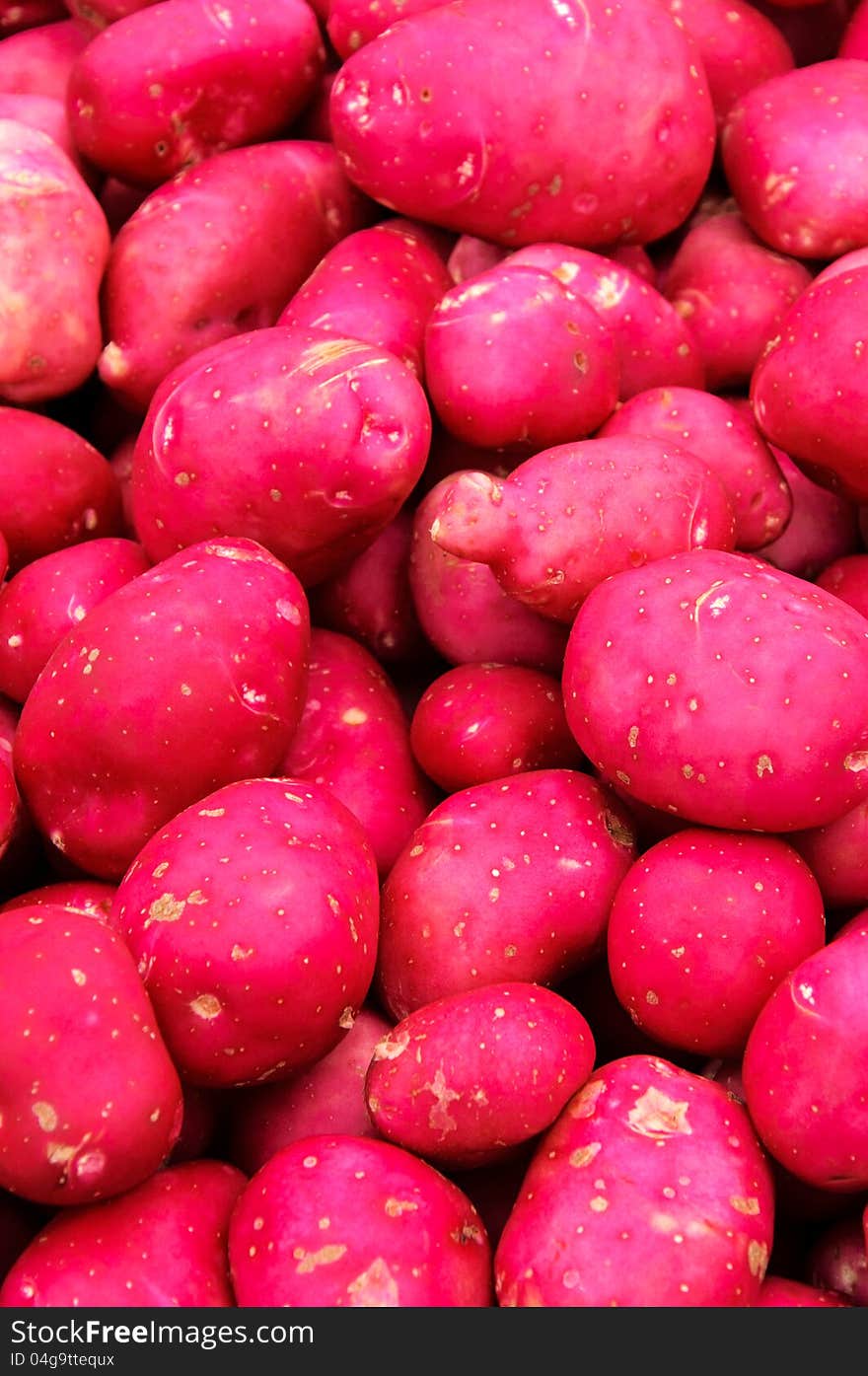 Red potato in the full frame