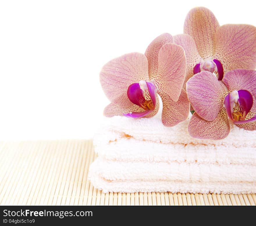 Orchid on Towel