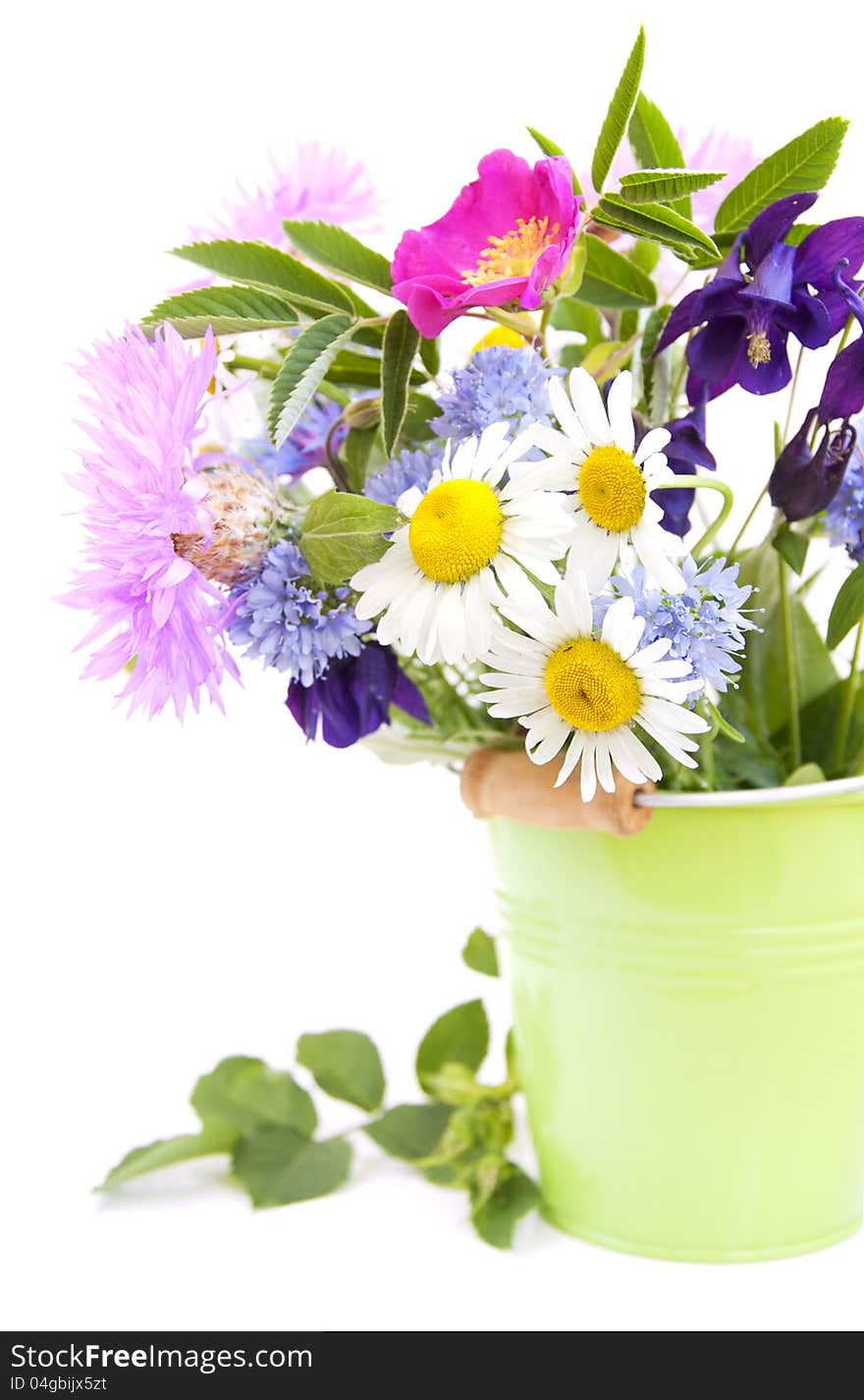 Bucket with wild flowers on a white background