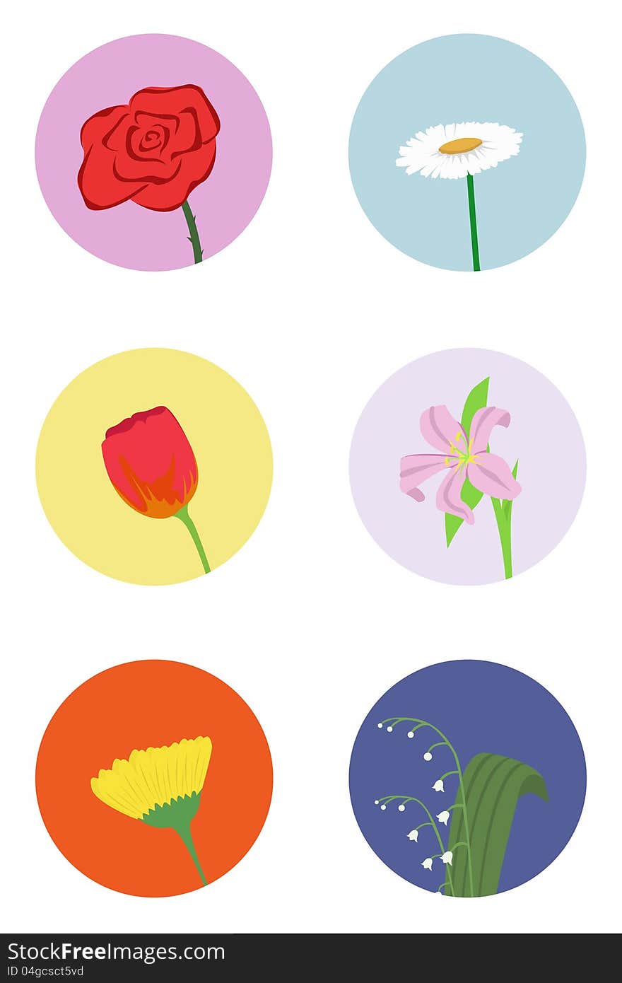 Vector clip-art with different flowers. Vector clip-art with different flowers