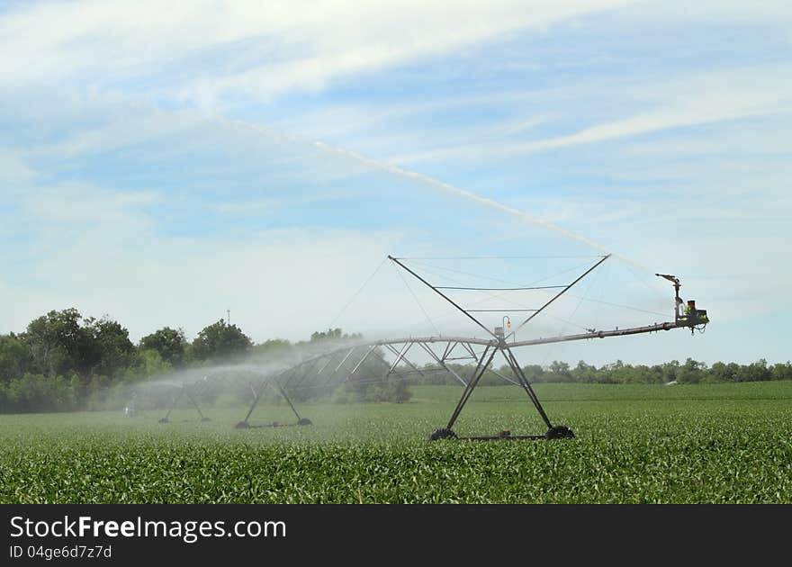 Watering Corn