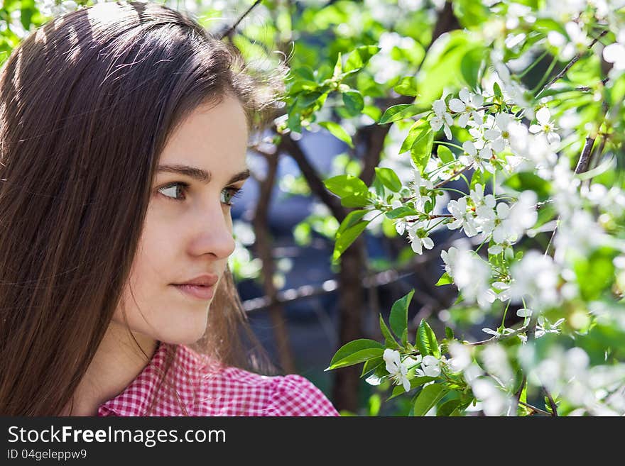 Beautiful young woman in pink blouse, among cherry blossom. Beautiful young woman in pink blouse, among cherry blossom