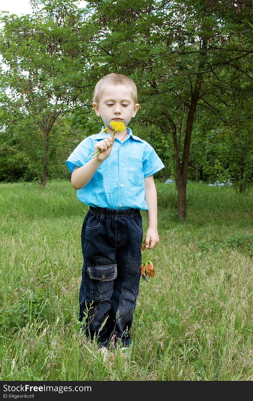 Little boy with dandelion