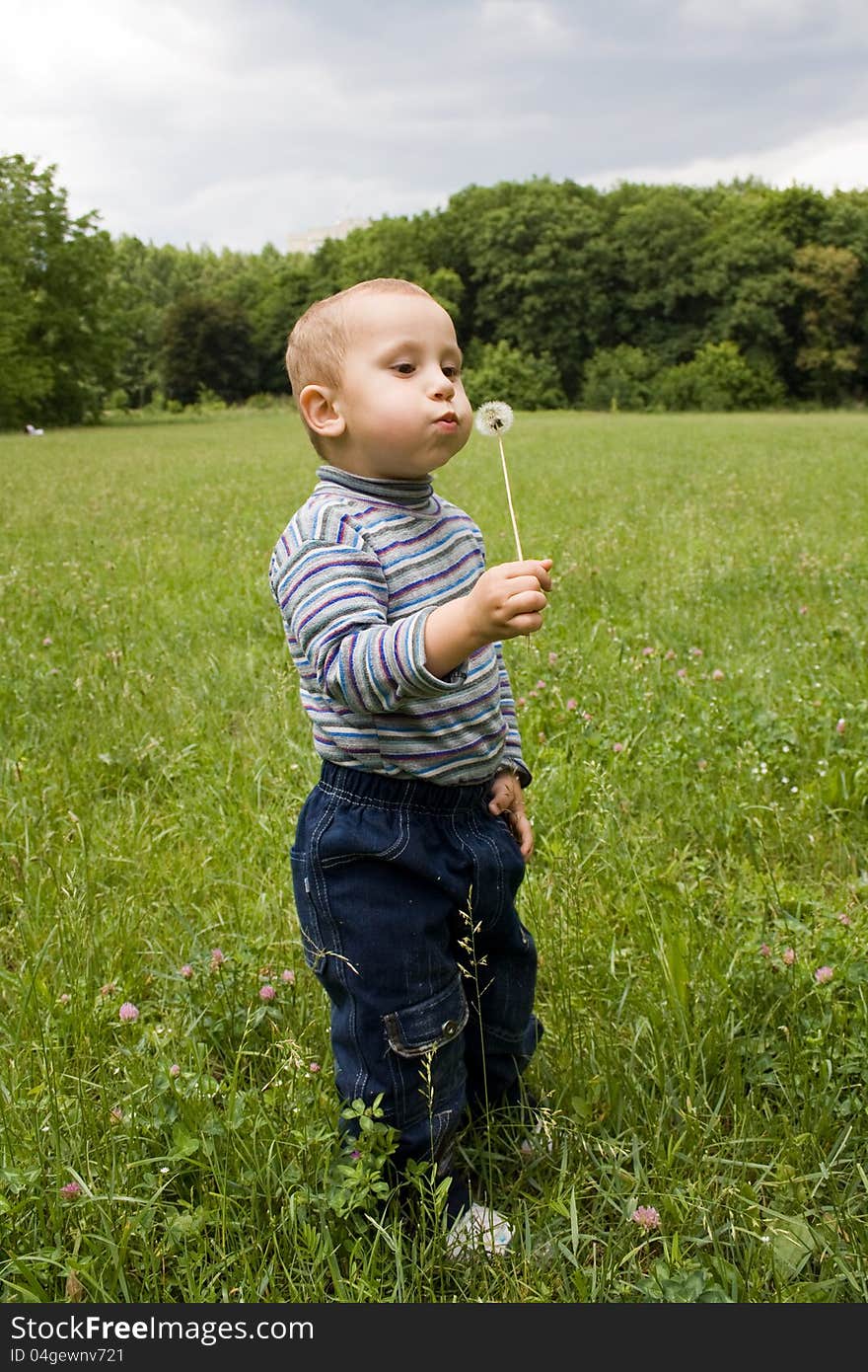 Cute boy blowing on dandelion in summer ti