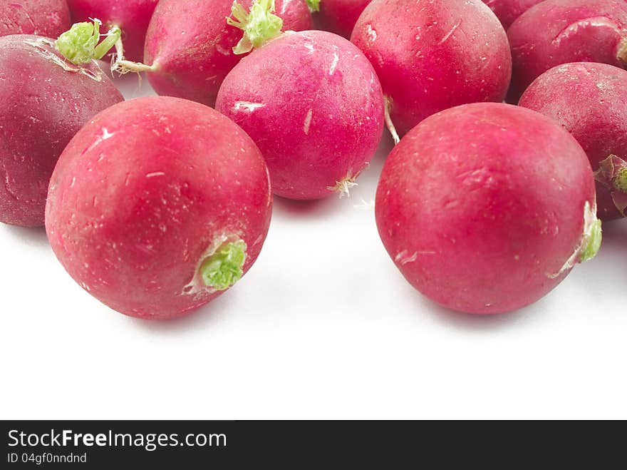 Radish closeup