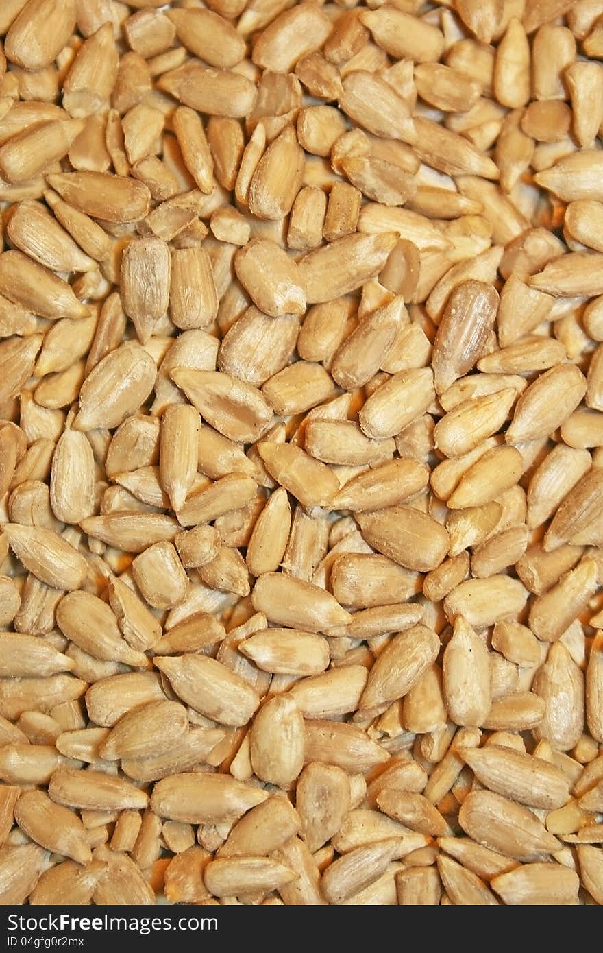 Sunflower seeds