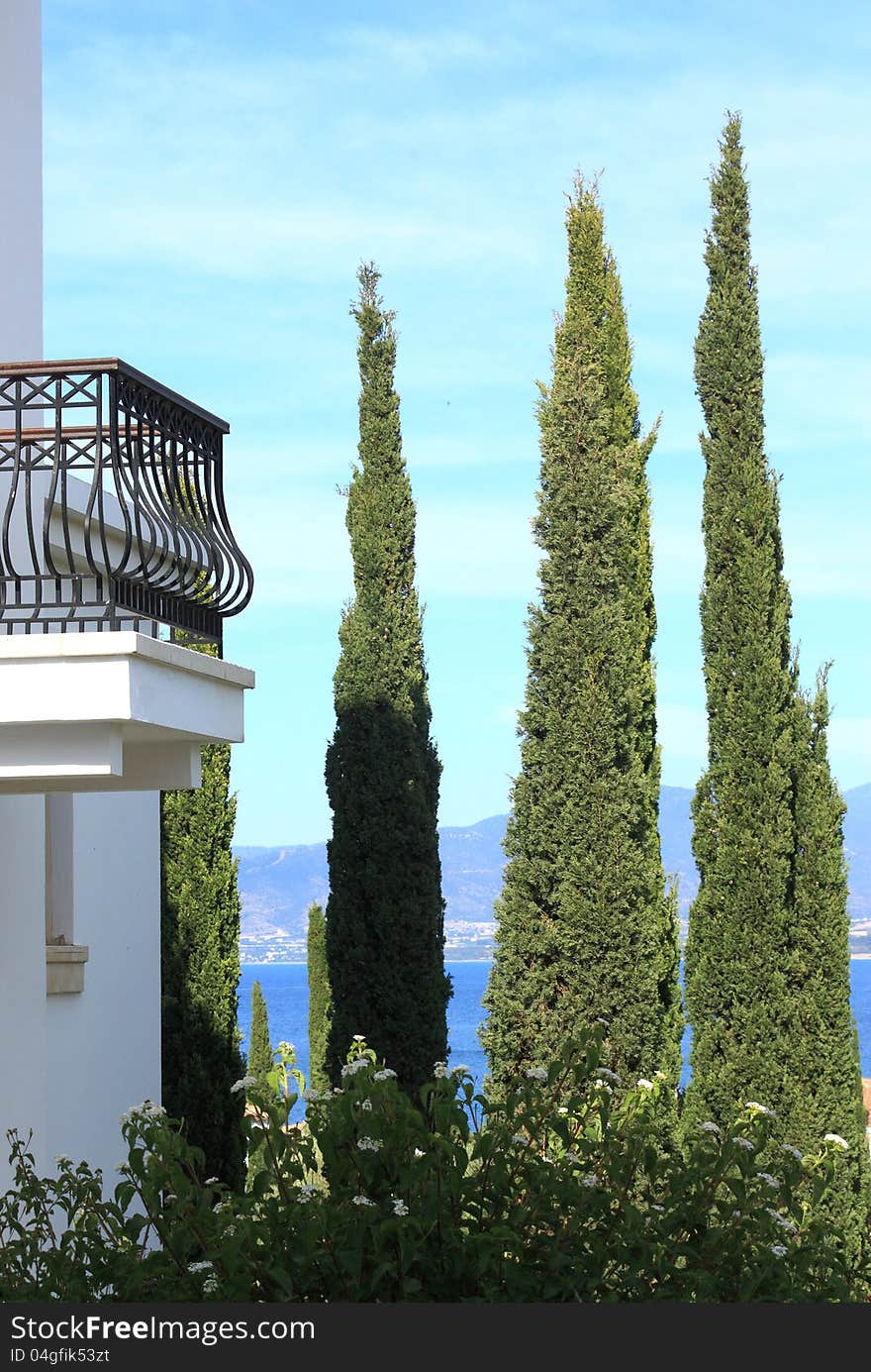 A typical Mediterranean view, Cypress trees