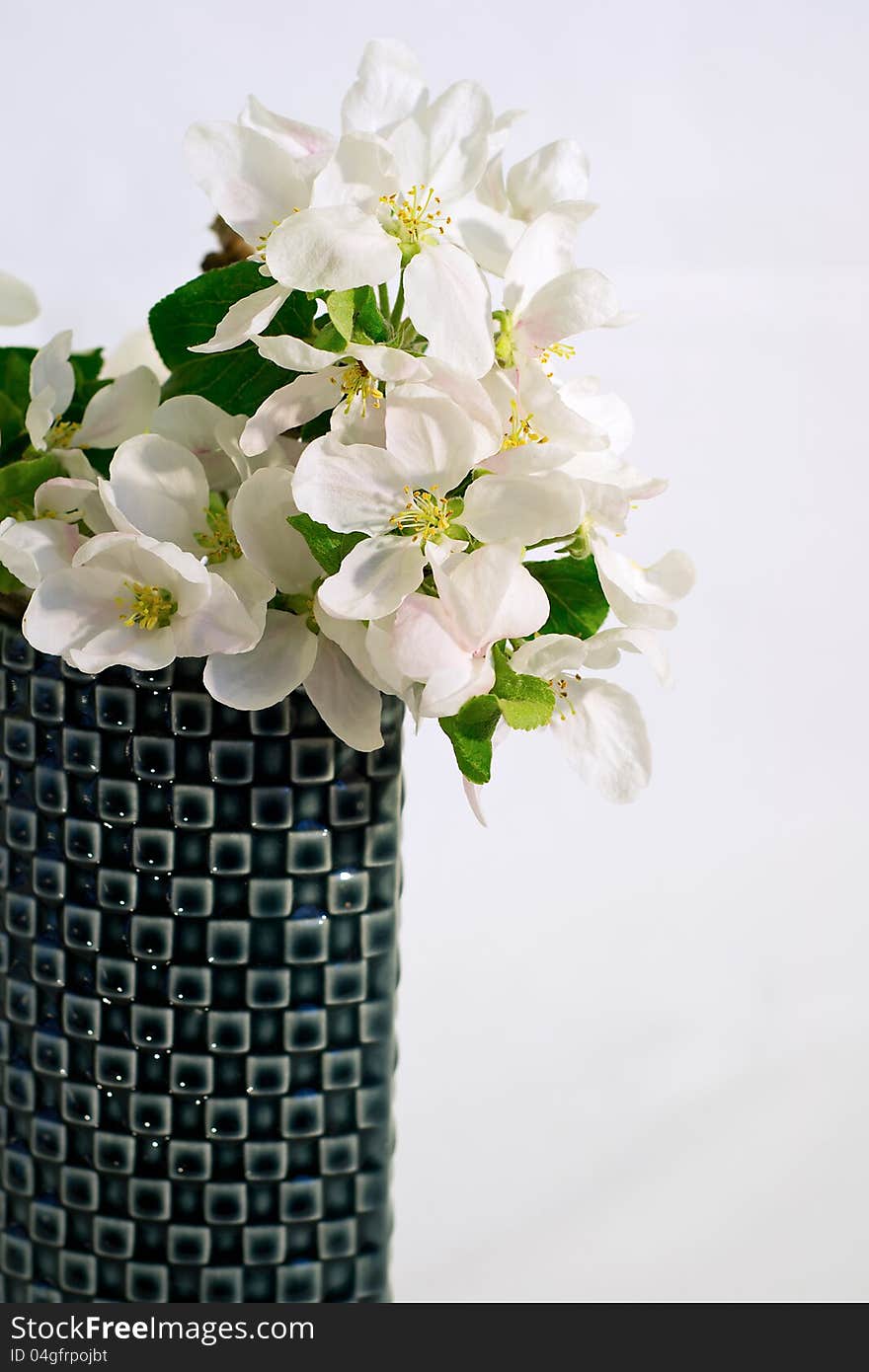 Apple Tree Flowers In A Retro Vase