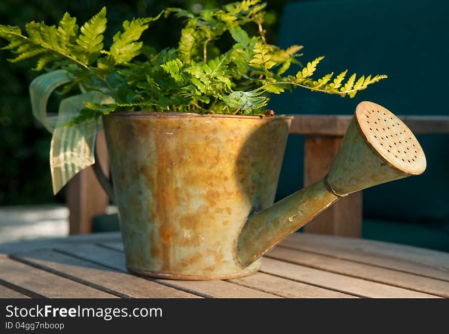 Watering Can as Gift Basket in Warm Light