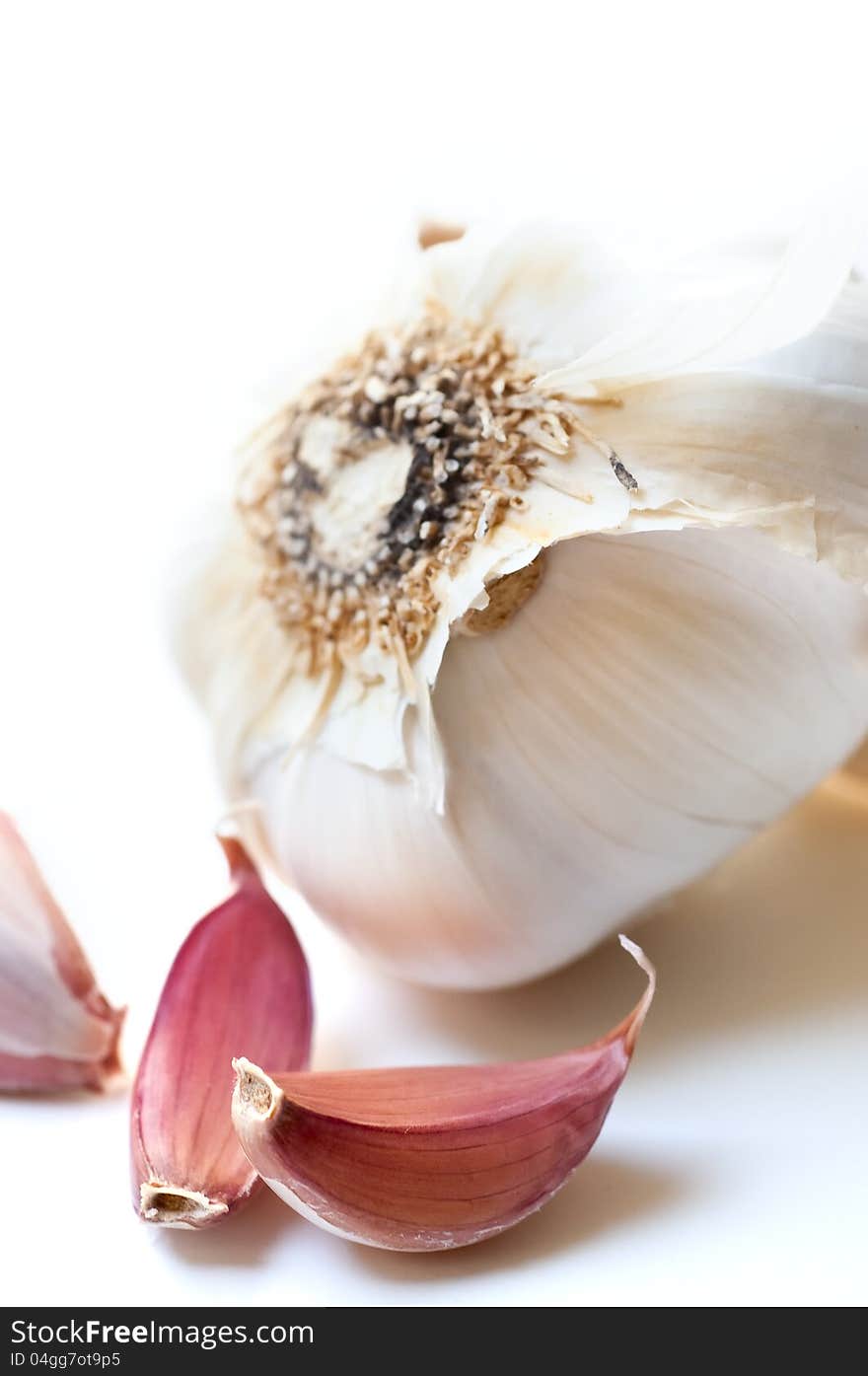 Garlic Cloves And Bulb