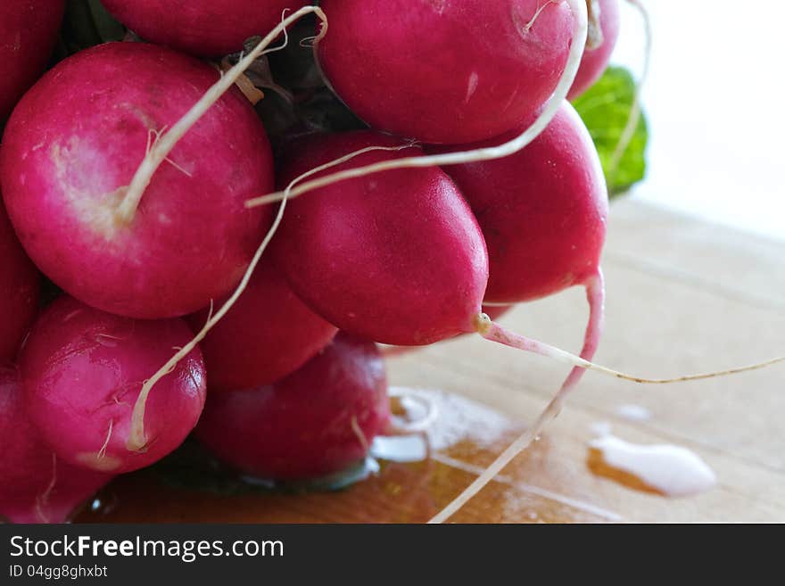 Bunch of freshly washed radishes. Bunch of freshly washed radishes