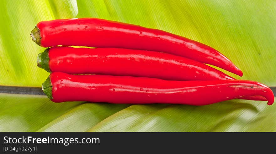 Red sweet peppers on leaves