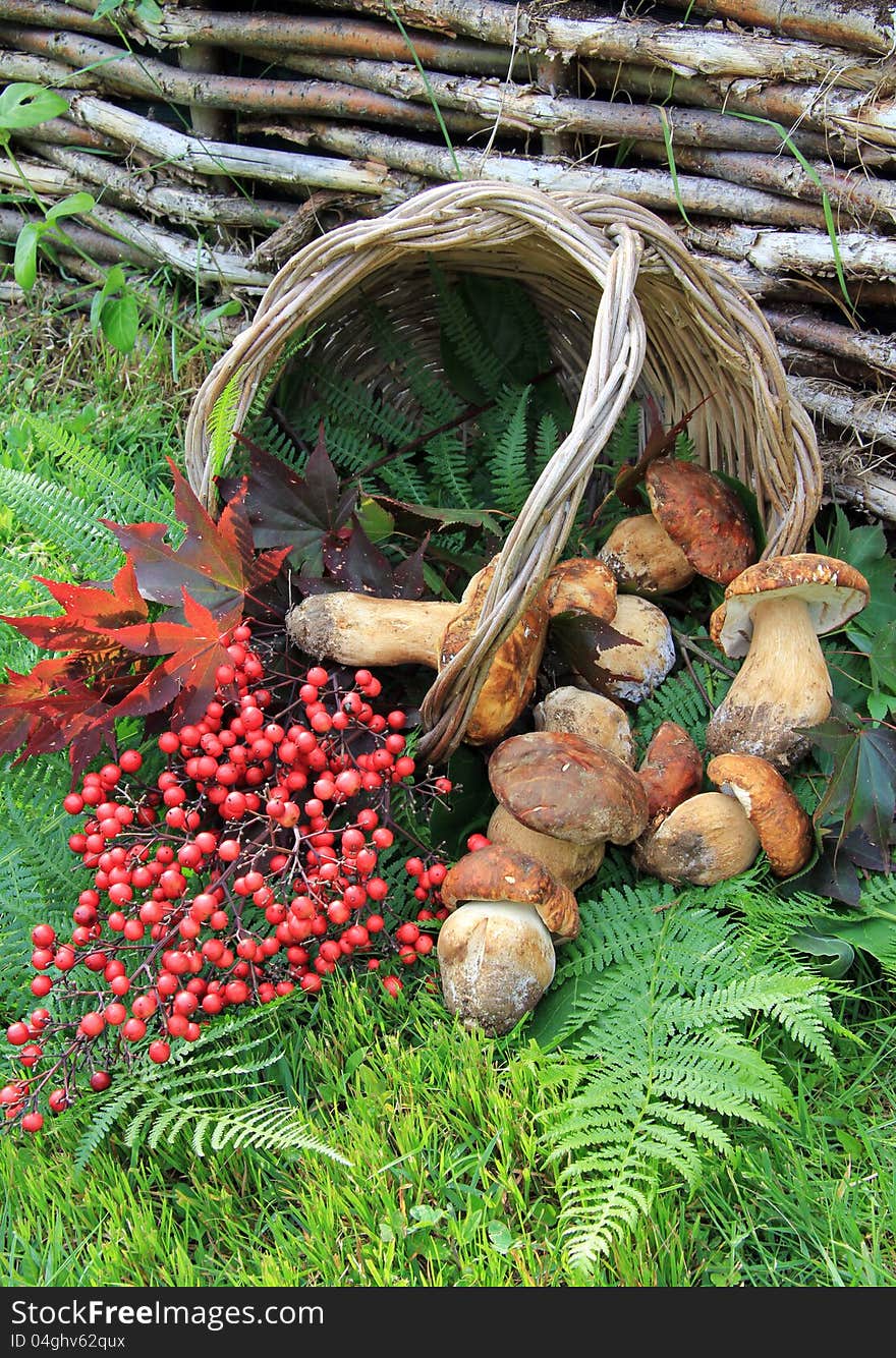 Wicker basket with mushrooms