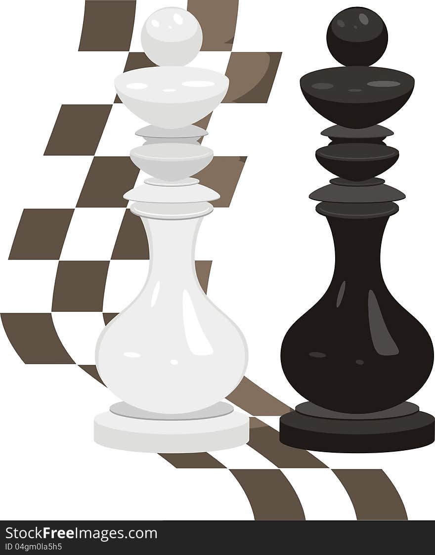 White and black king. Chess pieces