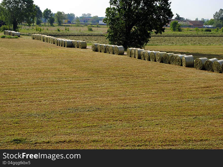 Farmland landscape