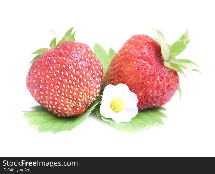 Strawberries with green leaves on a white background