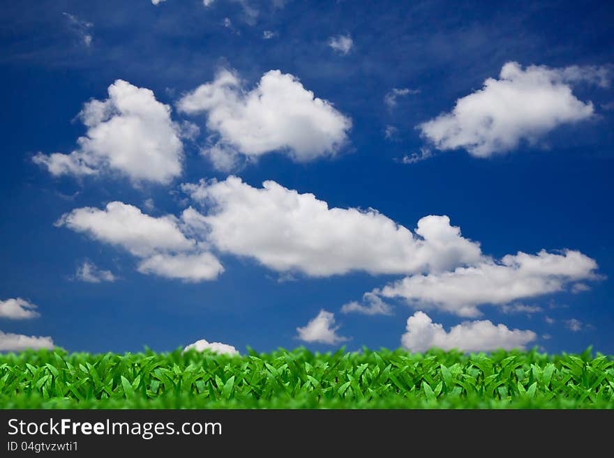 Green grass over a blue sky background