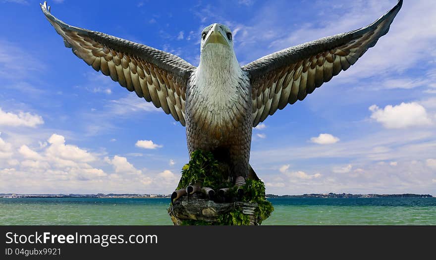 Eagle with it's wings spread and blue sky and sea at background