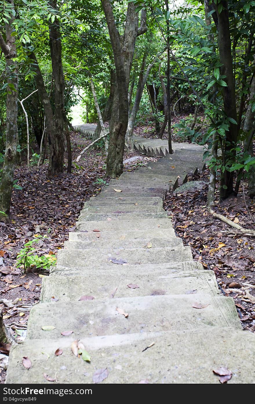 Stairway in the jungle at nang yuan island