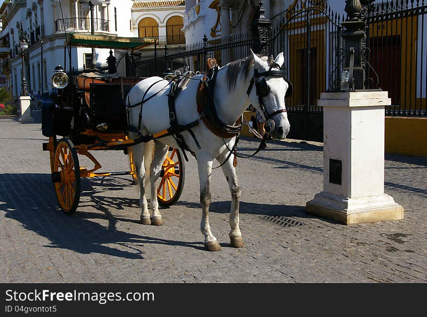 Traditional white horse carriage in Seville. Spain. Touristic transport. Traditional white horse carriage in Seville. Spain. Touristic transport.