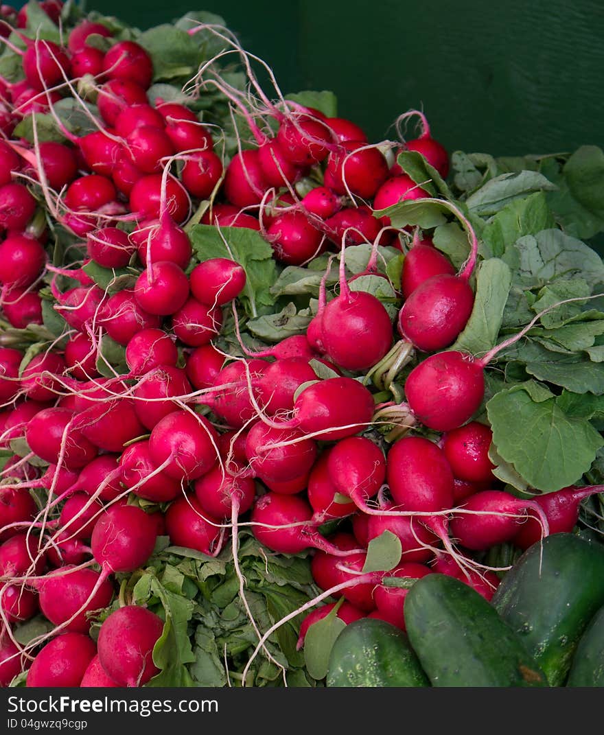 Bunches Of Fresh Radishes