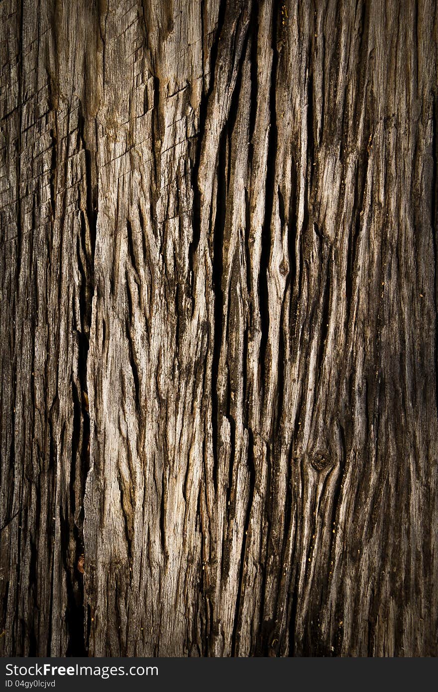 Wood texture