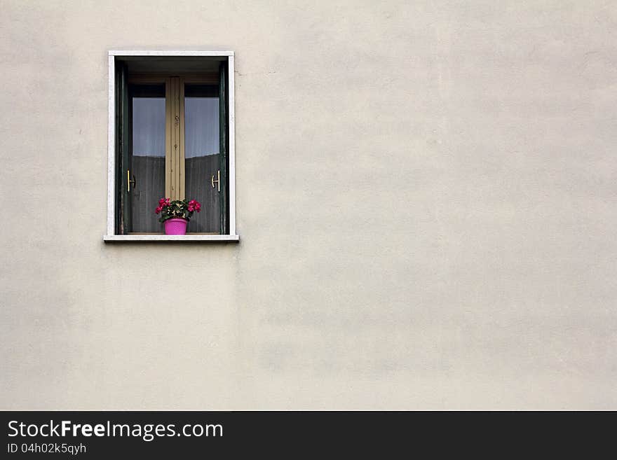 The red flowers on a green window. The red flowers on a green window