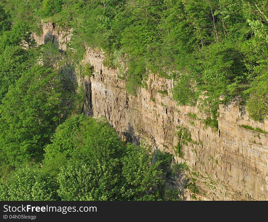 Shear rock cliff and trees background.