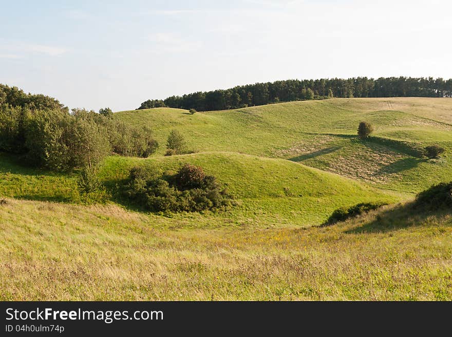 Green pasture