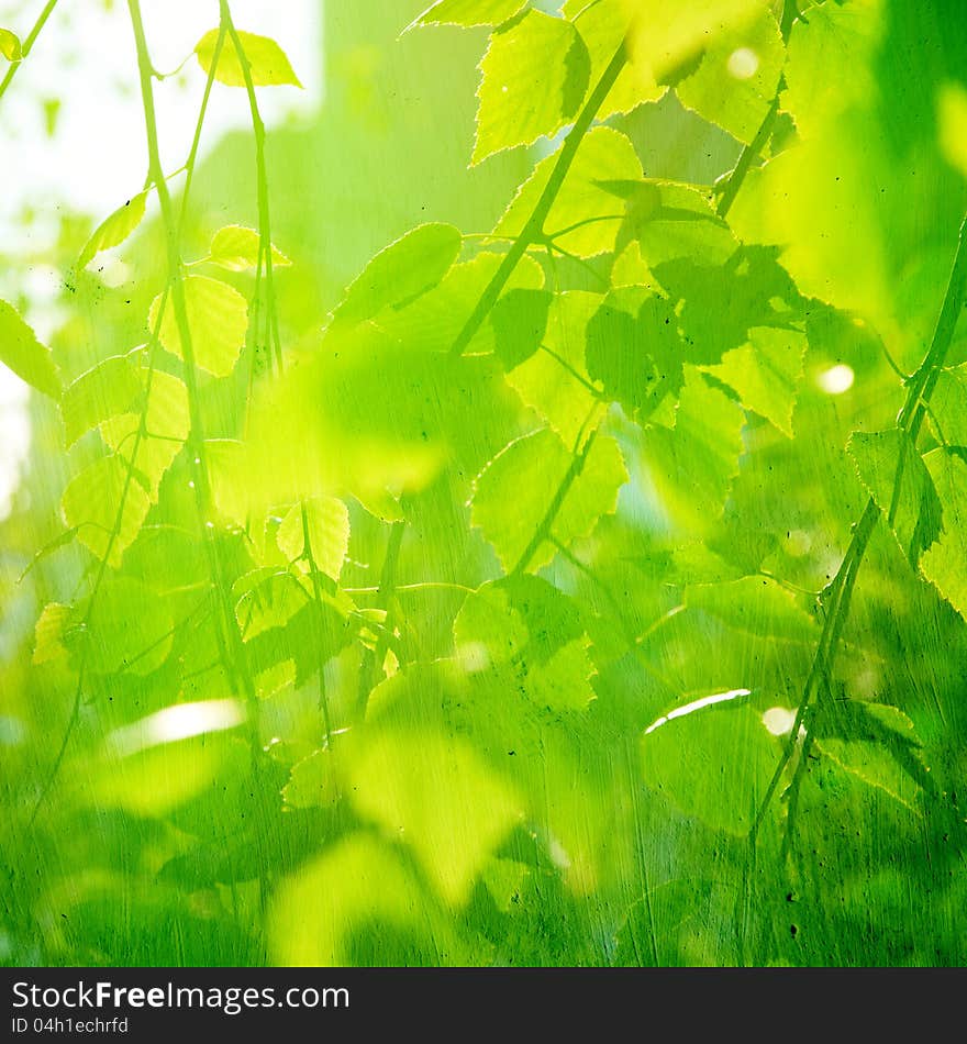 Grunge paper texture.  abstract nature background