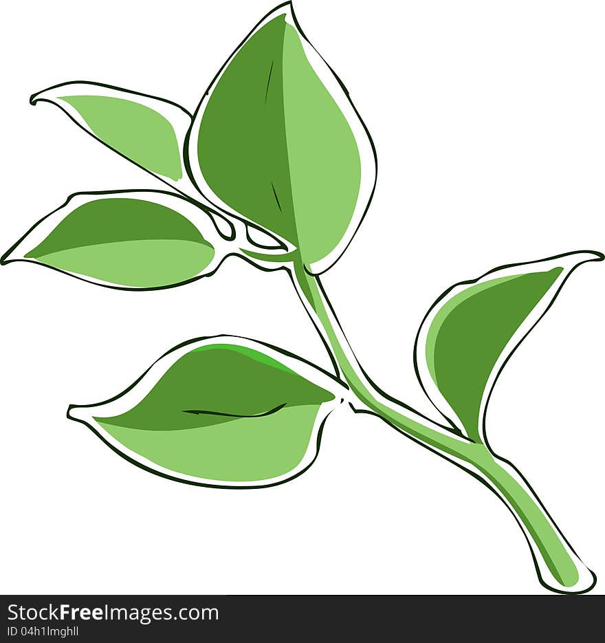 Sketch illustration of bright green branch