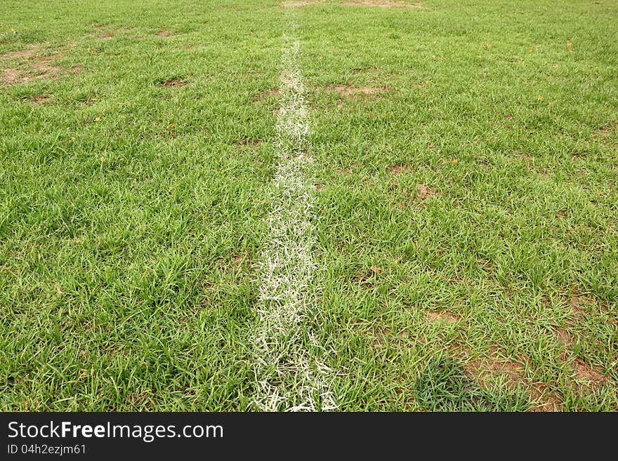 The green turf are marked with white lines of the field.